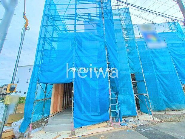 撮影日(2025-11-27 00:00:00)