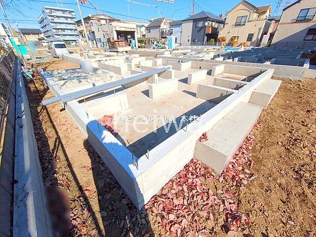 撮影日(2025-11-26 00:00:00)