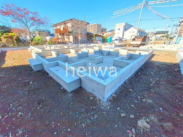 撮影日(2025-11-26 00:00:00)