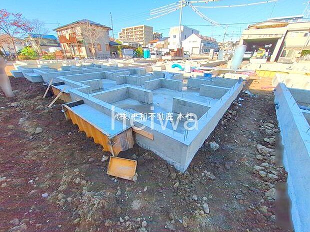 撮影日(2025-11-26 00:00:00)