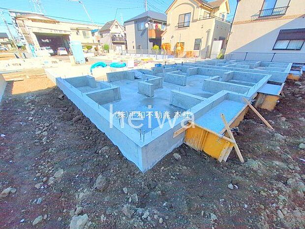 撮影日(2025-11-26 00:00:00)