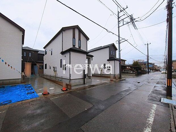 撮影日(2026-03-03 00:00:00)