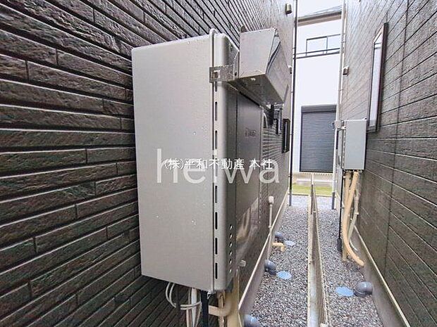 撮影日(2026-03-03 00:00:00)