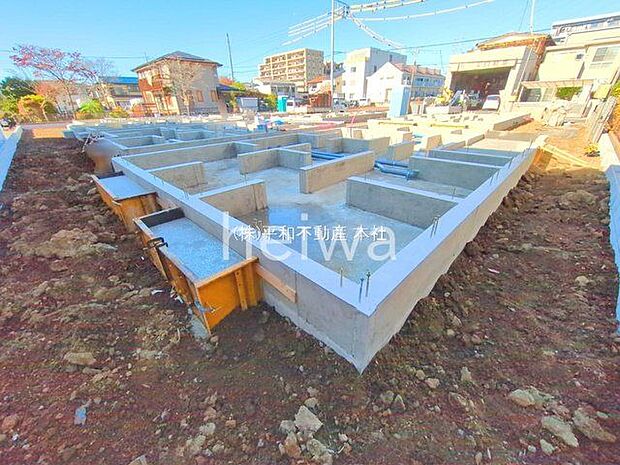 撮影日(2025-11-26 00:00:00)