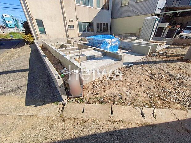 撮影日(2026-02-03 00:00:00)