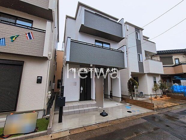 撮影日(2026-03-03 00:00:00)