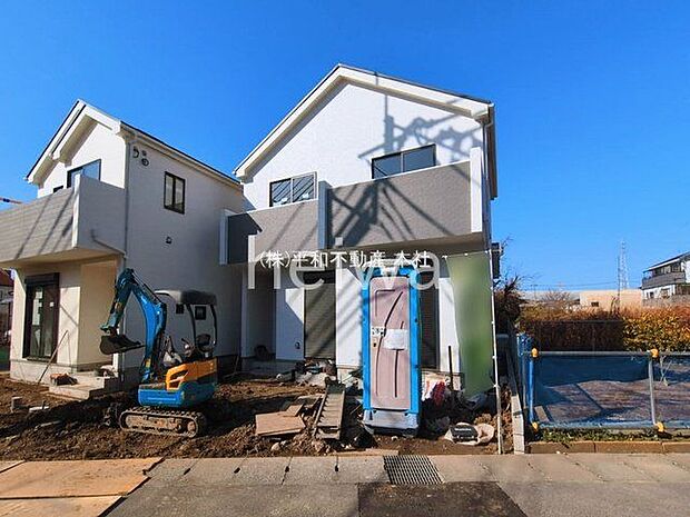 撮影日(2026-03-05 00:00:00)