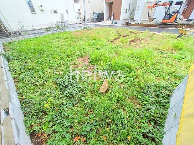 撮影日(2025-10-20 00:00:00)