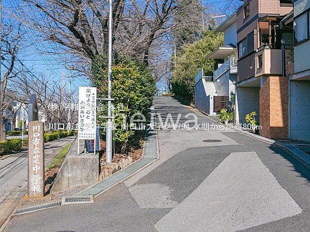 川口市立芝中学校 撮影日(2021-02-17) 800m