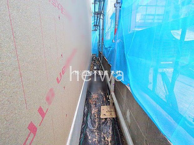 撮影日(2025-12-22 00:00:00)