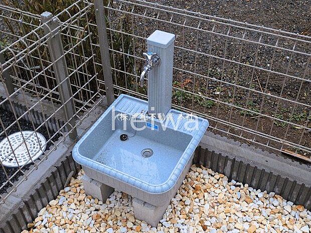 撮影日(2026-03-03 00:00:00)