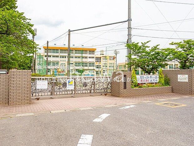 川口市立前川小学校 撮影日(2022-05-26) 480m