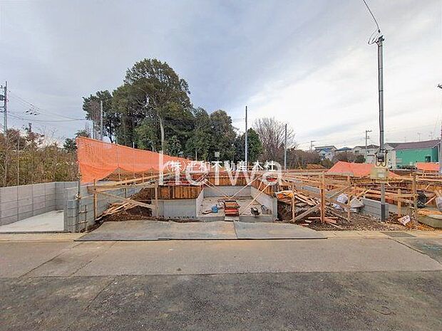 撮影日(2026-01-05 00:00:00)