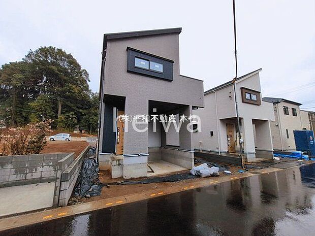 撮影日(2026-03-03 00:00:00)