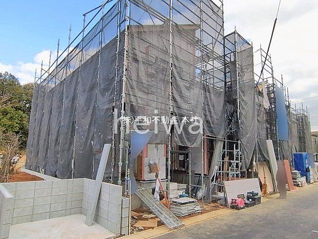 撮影日(2026-02-12 00:00:00)