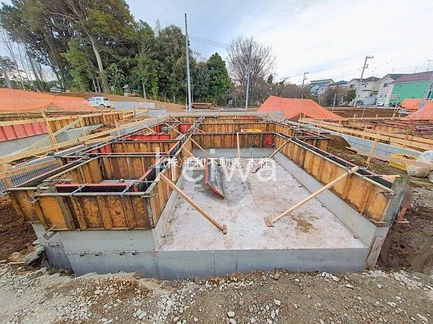 撮影日(2026-01-05 00:00:00)