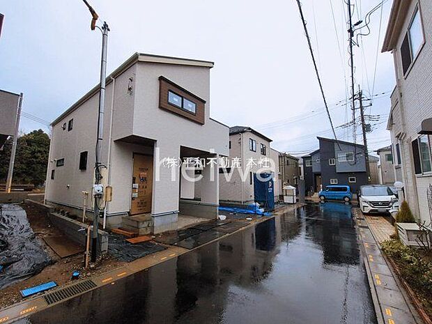 撮影日(2026-03-03 00:00:00)