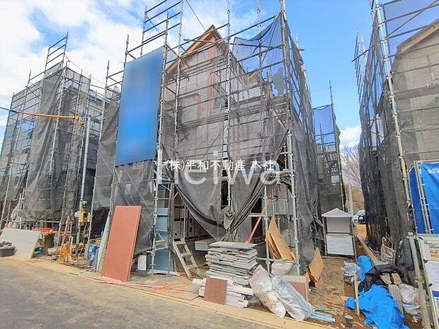 撮影日(2026-02-12 00:00:00)