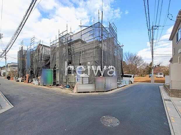 撮影日(2026-02-12 00:00:00)