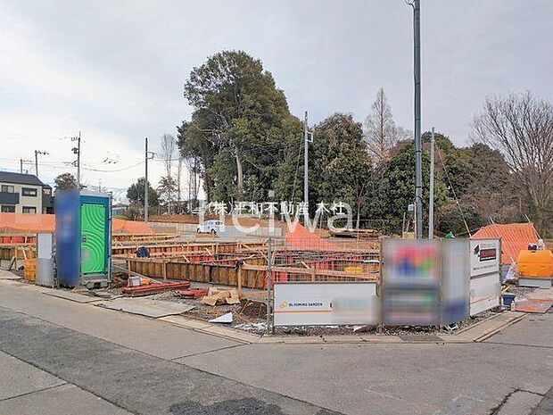 撮影日(2026-01-05 00:00:00)