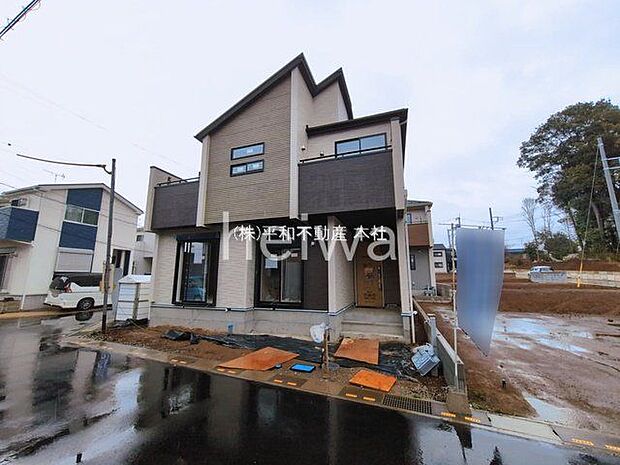 撮影日(2026-03-03 00:00:00)