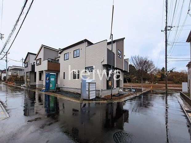 撮影日(2026-03-03 00:00:00)