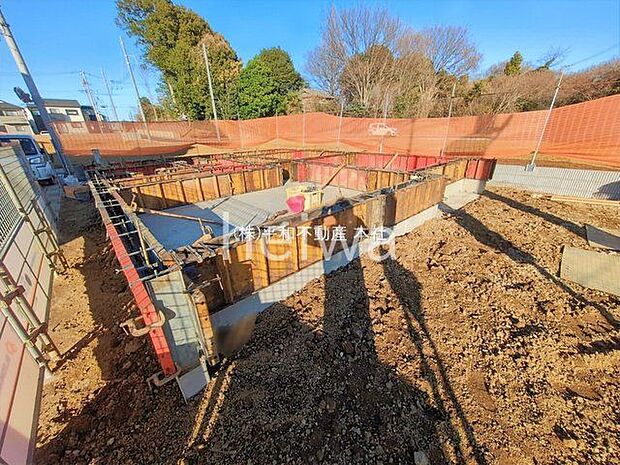 撮影日(2026-01-06 00:00:00)