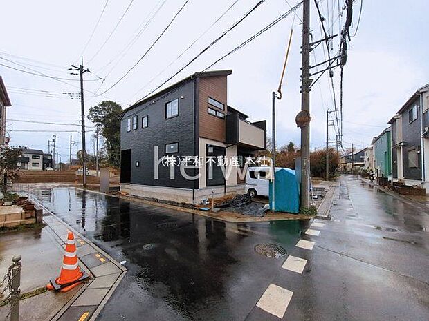 撮影日(2026-03-03 00:00:00)