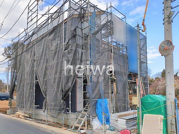 撮影日(2026-02-12 00:00:00)