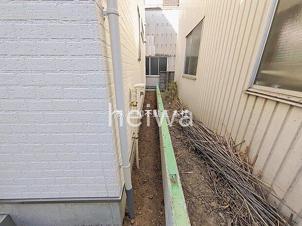 撮影日(2026-02-03 00:00:00)