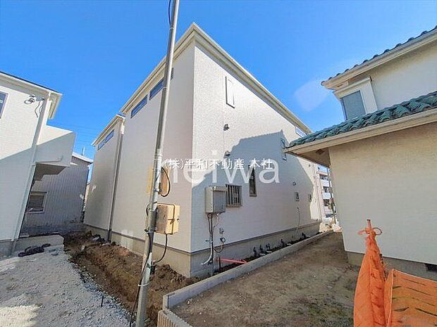 撮影日(2026-02-03 00:00:00)