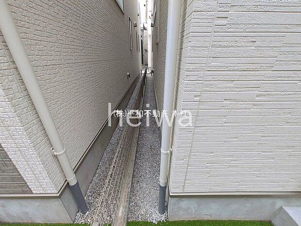 撮影日(2026-03-23 00:00:00)