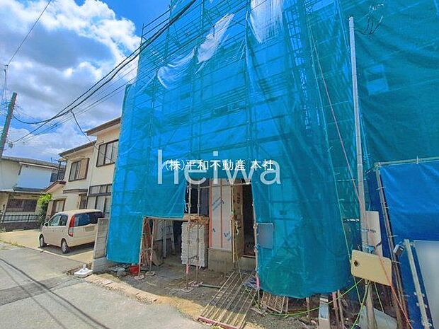 撮影日(2026-05-12 00:00:00)