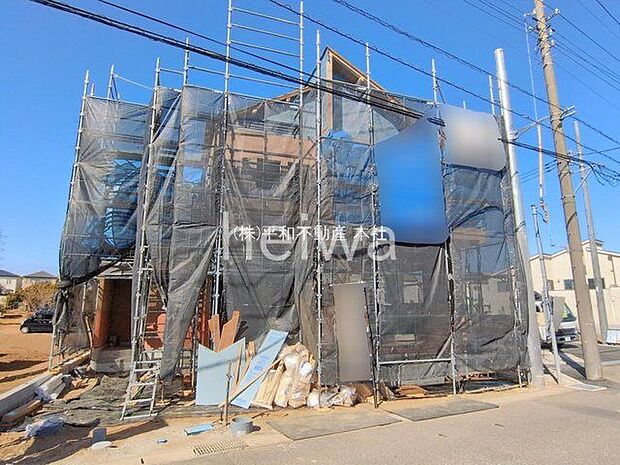 撮影日(2026-02-19 00:00:00)