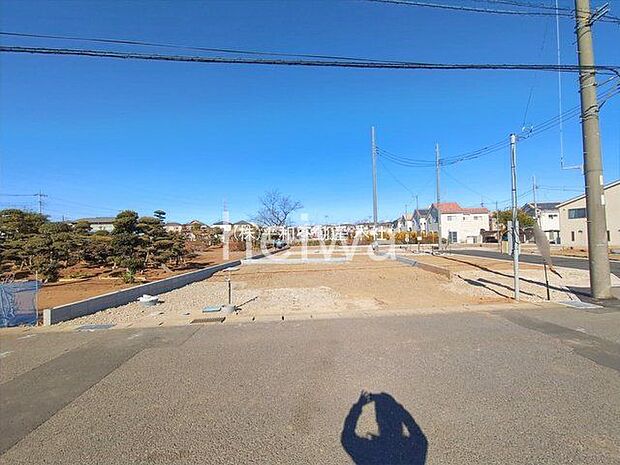 撮影日(2026-01-14 00:00:00)