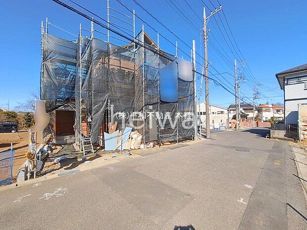 撮影日(2026-02-19 00:00:00)