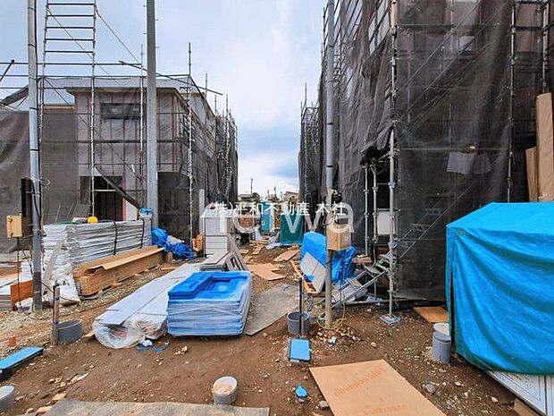 撮影日(2026-03-06)