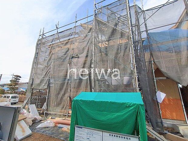 撮影日(2026-02-20 00:00:00)