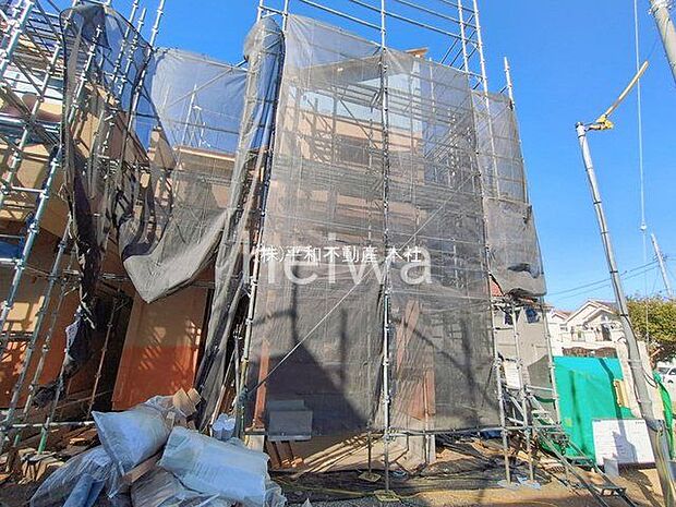 撮影日(2026-02-19 00:00:00)