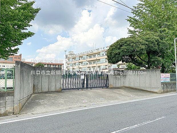 川口市立新郷南小学校 撮影日(2024-09-12) 1100m