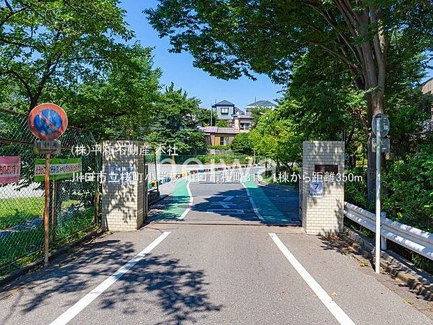 川口市立桜町小学校 撮影日(2022-07-01) 350m