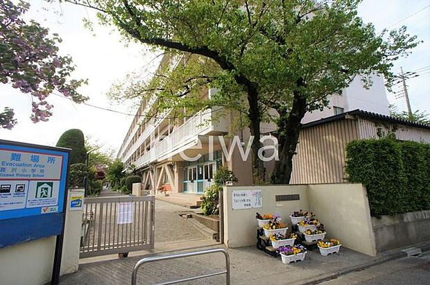 戸田市立喜沢小学校 徒歩4分。 300m