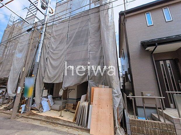 撮影日(2026-03-17 00:00:00)