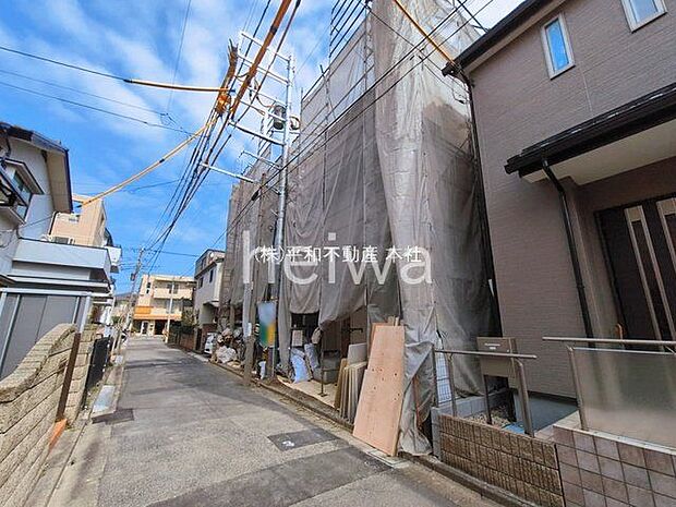 撮影日(2026-03-17 00:00:00)