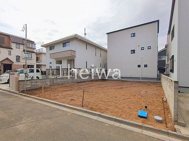 撮影日(2026-02-20 00:00:00)