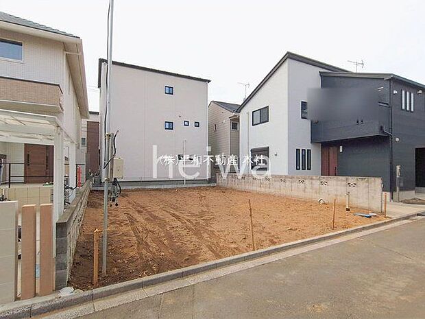 撮影日(2026-02-20 00:00:00)