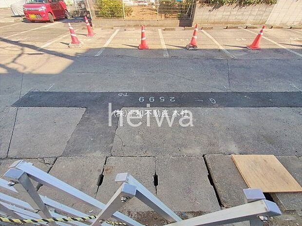 撮影日(2026-01-29 00:00:00)