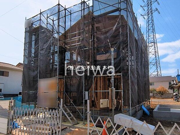 撮影日(2026-03-17 00:00:00)