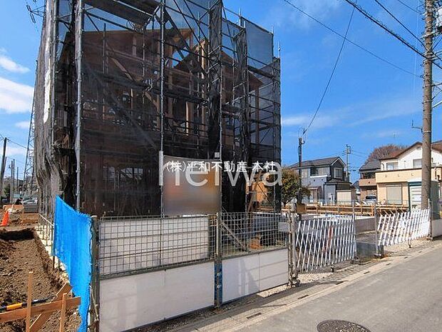 撮影日(2026-03-17 00:00:00)