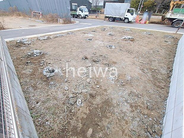 撮影日(2026-02-16 00:00:00)